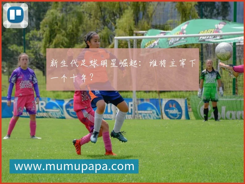 中国女排精神：从辉煌历程看国家荣誉的拼搏之路