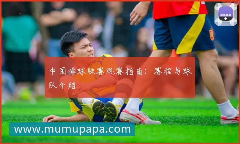 中国排球联赛观赛指南:赛程与球队介绍