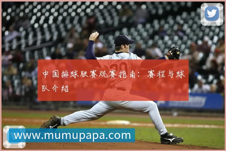 中国排球联赛观赛指南：赛程与球队介绍
