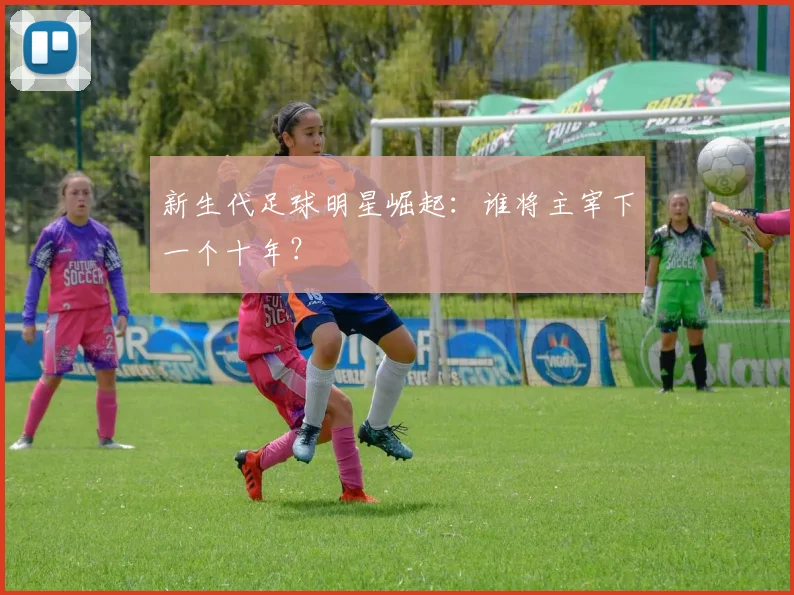 中国女排精神：从辉煌历程看国家荣誉的拼搏之路
